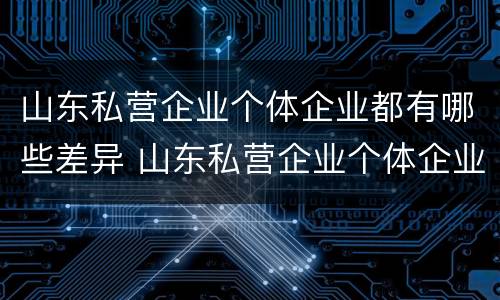 山东私营企业个体企业都有哪些差异 山东私营企业个体企业都有哪些差异项目