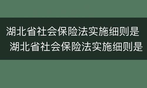 湖北省社会保险法实施细则是 湖北省社会保险法实施细则是什么