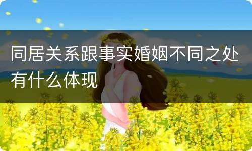 同居关系跟事实婚姻不同之处有什么体现