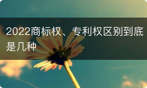 2022商标权、专利权区别到底是几种