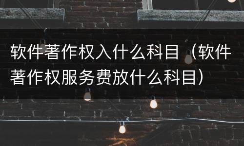 软件著作权入什么科目（软件著作权服务费放什么科目）