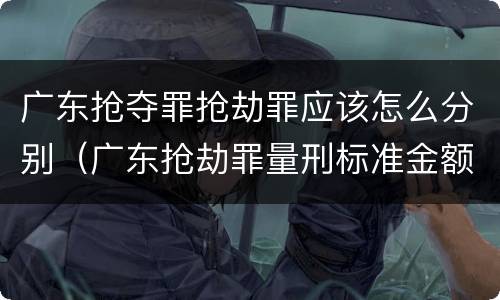 广东抢夺罪抢劫罪应该怎么分别（广东抢劫罪量刑标准金额）
