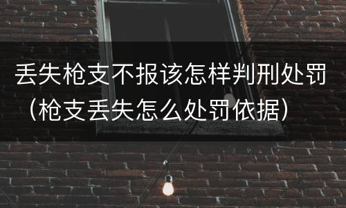 丢失枪支不报该怎样判刑处罚（枪支丢失怎么处罚依据）