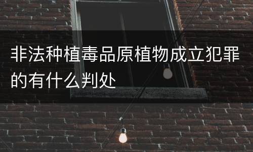 非法种植毒品原植物成立犯罪的有什么判处