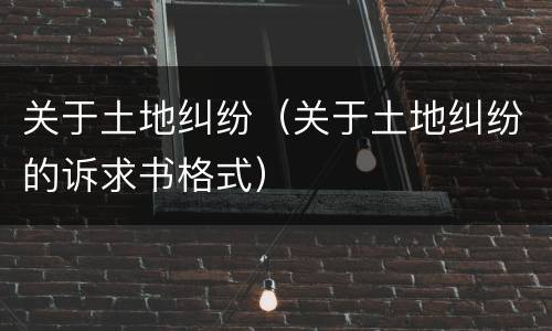关于土地纠纷（关于土地纠纷的诉求书格式）