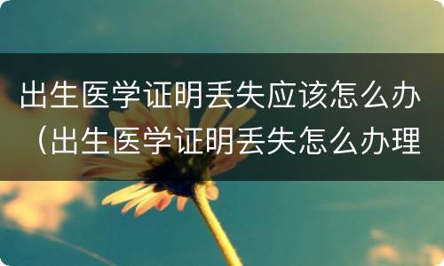 出生医学证明丢失应该怎么办（出生医学证明丢失怎么办理怎么补办）
