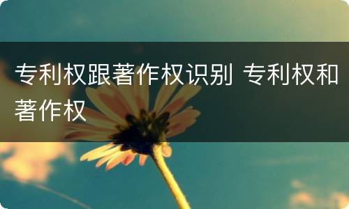 专利权跟著作权识别 专利权和著作权