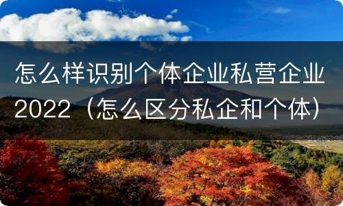 怎么样识别个体企业私营企业2022（怎么区分私企和个体）