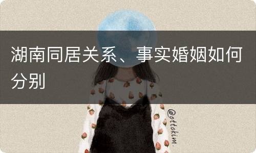 湖南同居关系、事实婚姻如何分别