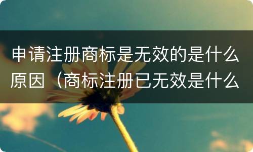 申请注册商标是无效的是什么原因（商标注册已无效是什么意思）