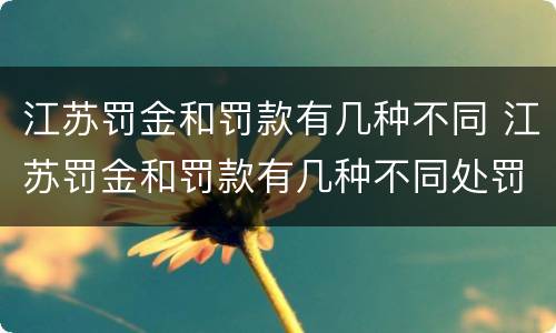 江苏罚金和罚款有几种不同 江苏罚金和罚款有几种不同处罚