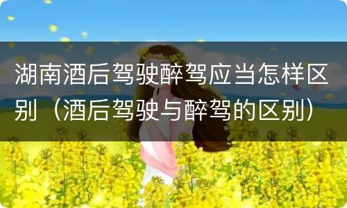 湖南酒后驾驶醉驾应当怎样区别（酒后驾驶与醉驾的区别）