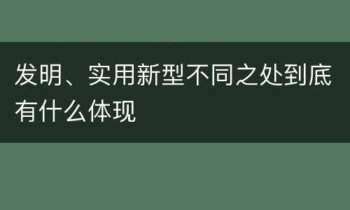 发明、实用新型不同之处到底有什么体现