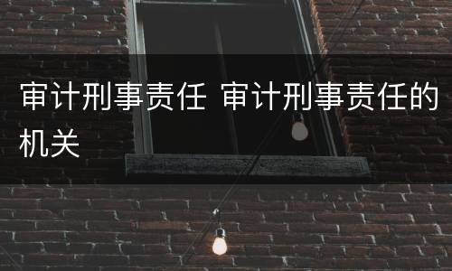 审计刑事责任 审计刑事责任的机关