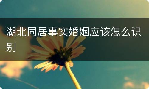 湖北同居事实婚姻应该怎么识别