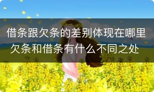 借条跟欠条的差别体现在哪里 欠条和借条有什么不同之处