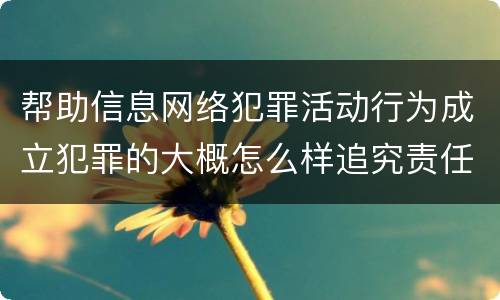 帮助信息网络犯罪活动行为成立犯罪的大概怎么样追究责任