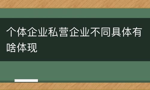 个体企业私营企业不同具体有啥体现