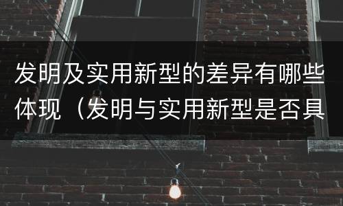 发明及实用新型的差异有哪些体现（发明与实用新型是否具有实用性）