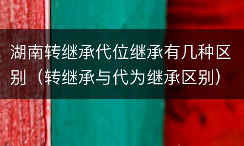 湖南转继承代位继承有几种区别（转继承与代为继承区别）