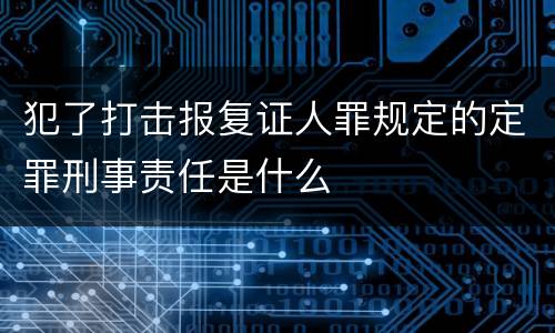 犯了打击报复证人罪规定的定罪刑事责任是什么
