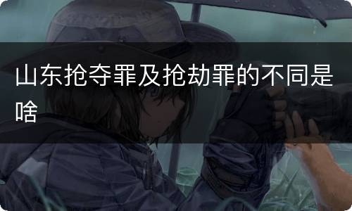 山东抢夺罪及抢劫罪的不同是啥