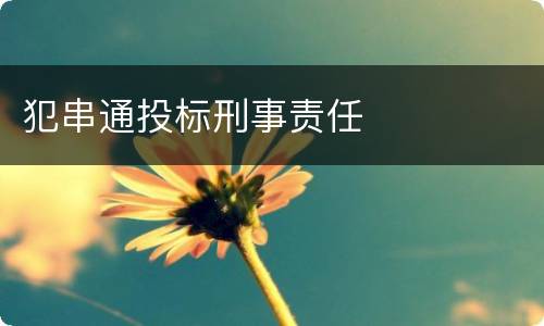 犯串通投标刑事责任