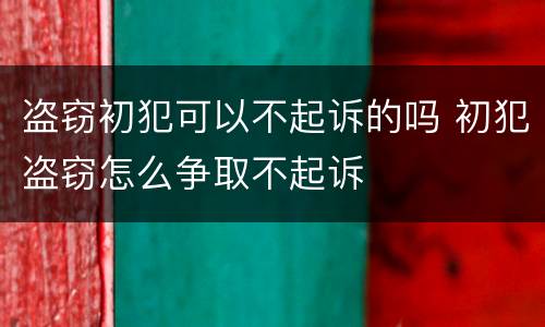 盗窃初犯可以不起诉的吗 初犯盗窃怎么争取不起诉