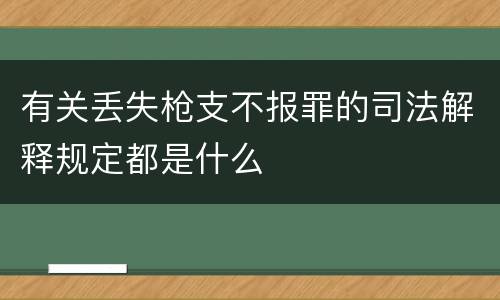 有关丢失枪支不报罪的司法解释规定都是什么