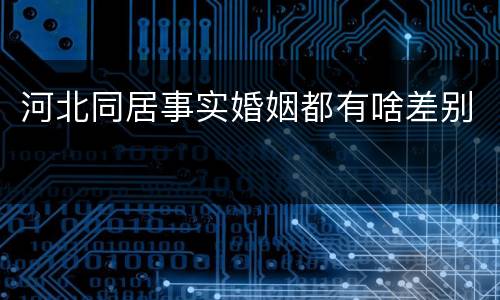 河北同居事实婚姻都有啥差别