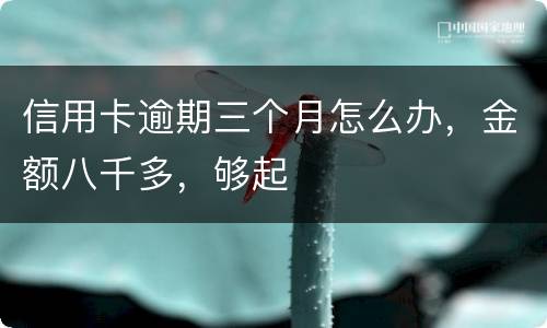 信用卡逾期三个月怎么办，金额八千多，够起
