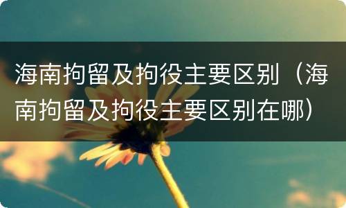 海南拘留及拘役主要区别（海南拘留及拘役主要区别在哪）
