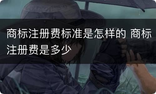 商标注册费标准是怎样的 商标注册费是多少