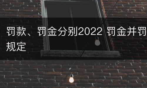 罚款、罚金分别2022 罚金并罚规定