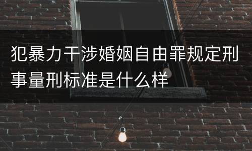 犯暴力干涉婚姻自由罪规定刑事量刑标准是什么样