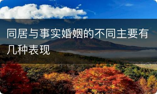 同居与事实婚姻的不同主要有几种表现