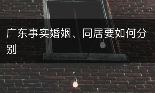 广东事实婚姻、同居要如何分别