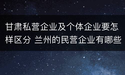 甘肃私营企业及个体企业要怎样区分 兰州的民营企业有哪些