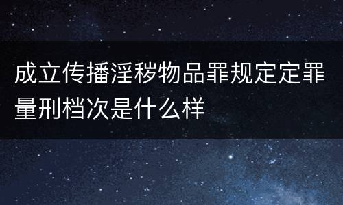 成立传播淫秽物品罪规定定罪量刑档次是什么样