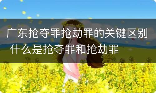 广东抢夺罪抢劫罪的关键区别 什么是抢夺罪和抢劫罪