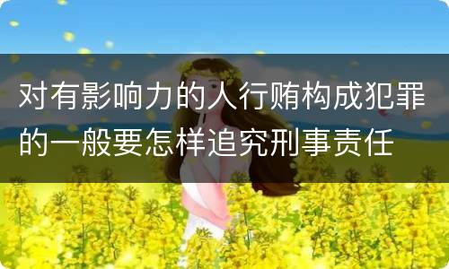 对有影响力的人行贿构成犯罪的一般要怎样追究刑事责任