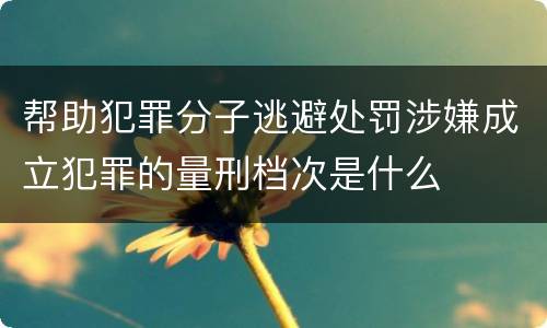 帮助犯罪分子逃避处罚涉嫌成立犯罪的量刑档次是什么