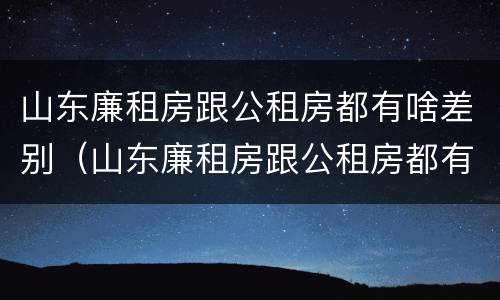 山东廉租房跟公租房都有啥差别（山东廉租房跟公租房都有啥差别吗）