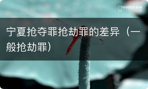宁夏抢夺罪抢劫罪的差异（一般抢劫罪）