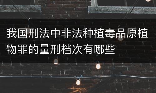 我国刑法中非法种植毒品原植物罪的量刑档次有哪些