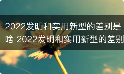 2022发明和实用新型的差别是啥 2022发明和实用新型的差别是啥呀