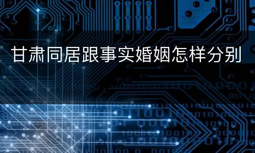 甘肃同居跟事实婚姻怎样分别