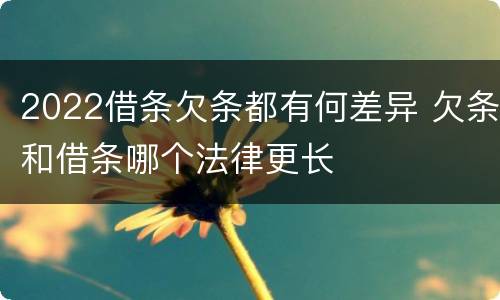 2022借条欠条都有何差异 欠条和借条哪个法律更长