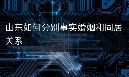 山东如何分别事实婚姻和同居关系