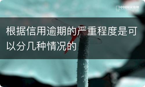 根据信用逾期的严重程度是可以分几种情况的